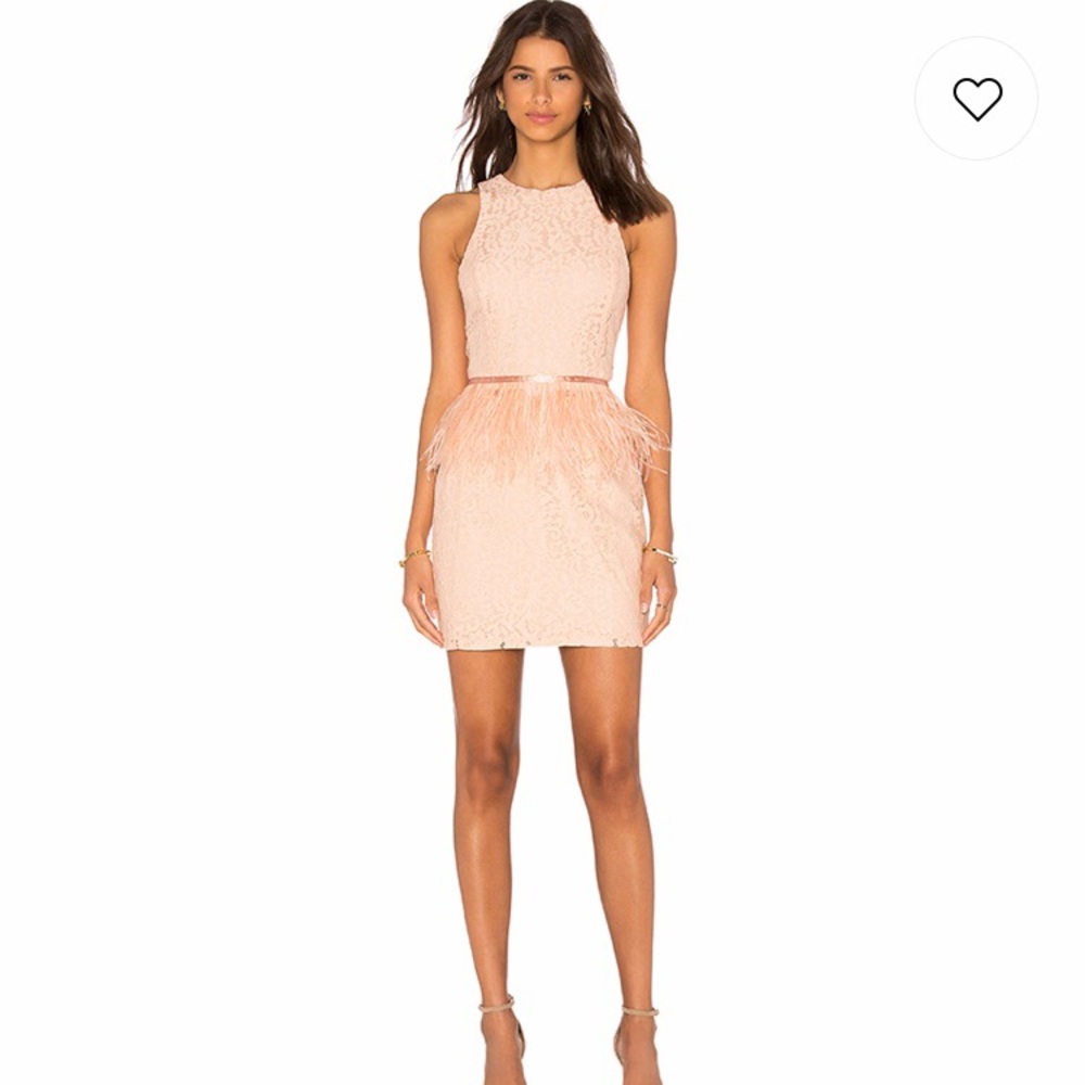 Endless rose unique feather lace dress